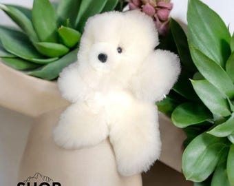 Può includere: Un orsacchiotto di alpaca bianco con occhi neri e naso nero. L'orso è seduto su una superficie marrone chiaro con piante verdi sullo sfondo.