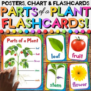 May include: Educational flashcards and posters with the text "PARTS of a PLANT FLASHCARDS!". The flashcards show illustrations of plant parts: leaf, fruit, flower, stem, and roots. The background is a wooden surface.