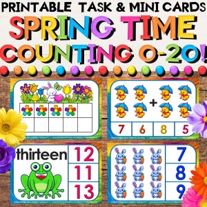 Spring Garden Counting to 20 Task & Clip Cards - Ten Frames Addition Subtraction
