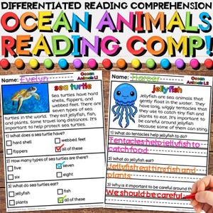 Op de afbeelding: Een kleurrijk educatief werkblad getiteld "Ocean Animals Reading Comp!" toont een zeeschildpad en een kwal. Het werkblad bevat leesbegripvragen over zeeschildpadden en kwallen, met meerkeuzeantwoorden.