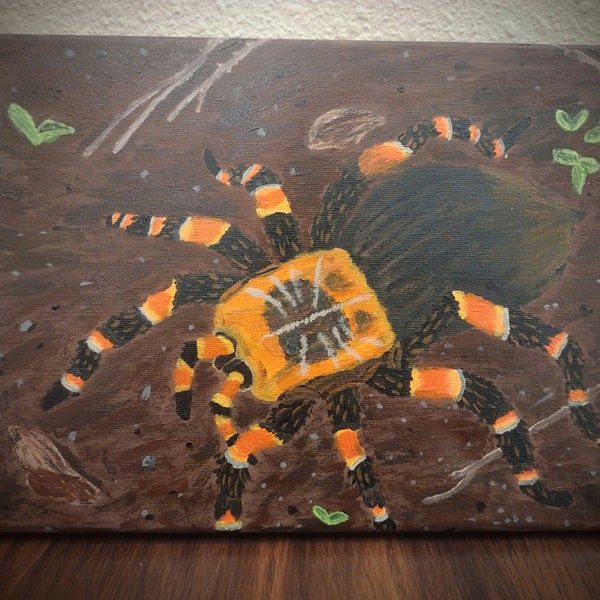 Tarantula Acrylic Painting on Canvas (9"x12")