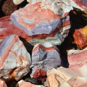 May include: Close-up of a collection of colorful rocks. The rocks display a variety of colors, including shades of red, pink, white, and gray. The rocks have a layered appearance, with visible bands of color and natural textures. The image is well-lit, highlighting the details of the stones.
