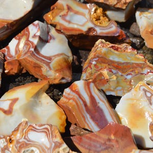 May include: A collection of raw, natural rocks with a variety of colors and patterns. The rocks display shades of orange, red, white, and brown, with unique veining and textures. Some pieces have a polished, glossy appearance.