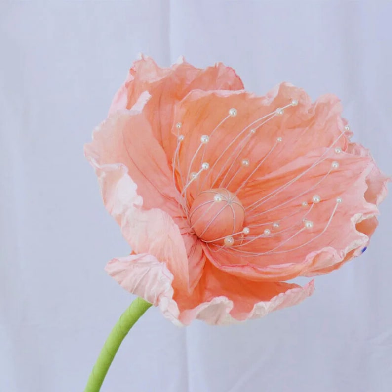 Paper Peony Flowers Large 50cm Diameter Heads for Event Decoration, Birthday Party Backdrop, Kids Room Decor Eco-Friendly Floral Déco image 5