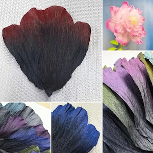 Grandi petali di fiori di carta crespa, confezione da 10 pezzi per progetti di decorazione floreale fai da te, feste di compleanno, fotografia, baby shower, decorazioni per addio al nubilato