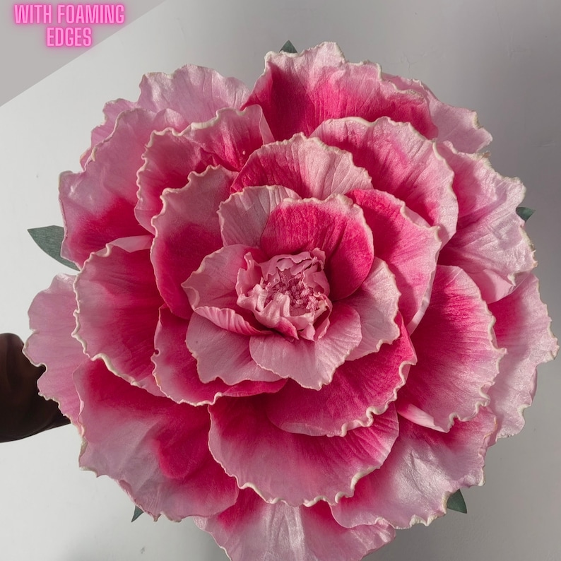 Fleurs de pivoine en velours surdimensionnées, 60 cm, grandes fleurs en papier avec bords moussants pour douche nuptiale, premier anniversaire, bureau, chambre d'hôtel, décoration d'événement image 1