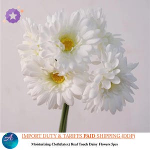 Real Touch Daisy Flower 10 cm di larghezza, 5 teste di margherite bianche con steli da 34 cm per bouquet da sposa fai da te, cappelli e composizioni floreali artigianali.
