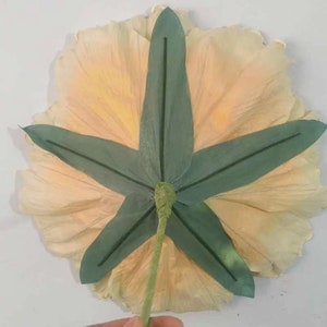 Flor de peonía de terciopelo de gran tamaño, flores de papel grandes de 60 cm con bordes de espuma para despedida de soltera, primer cumpleaños, oficina, habitación de hotel, decoración de eventos imagen 10