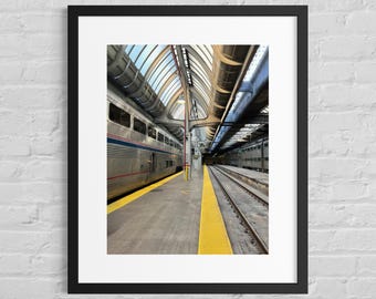 Stampa della stazione Union di Chicago / Piattaforma Amtrak, architettura dei lucernari