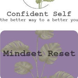 Mindset Reset