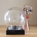 large glass terrarium with bakelite base . vintage flower globe, glass dome display jar