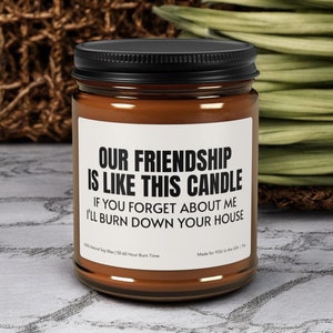 Verjaardagscadeau vriend, kerstcadeau voor vriend, grappig kaarscadeau, BFF-cadeau, propcadeau, housewarmingcadeau Onze vriendschap is zoals deze kaars
