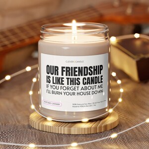 Onze vriendschap is zoals deze kaars, grappig cadeau vriend, cadeau beste vriend, beste vriend verjaardagscadeau, BFF-cadeau, verjaardag vrienden, grappige kaars