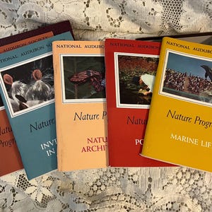 Peut inclure: Une collection de livres vintage "National Audubon Society Nature Program". Les livres ont des couvertures colorées dans les tons de rouge, bleu, orange et jaune, avec des images de scènes de la nature et de la faune. Les livres sont disposés sur une surface en dentelle blanche.
