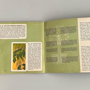 May include: An open book featuring botanical illustrations and text. The pages display images of trees and plants, alongside information about adopting a tree and descriptions of different species.