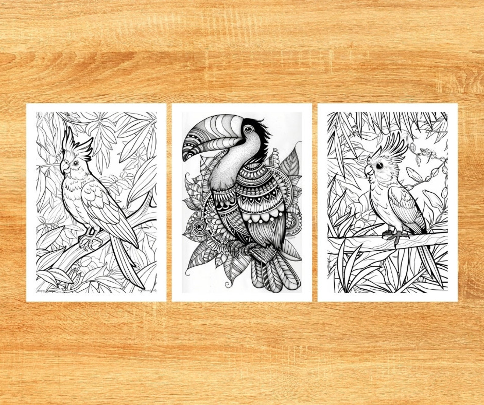 Exotic Birds Coloring Pages 31 Printable Bird Coloring Pages for Kids