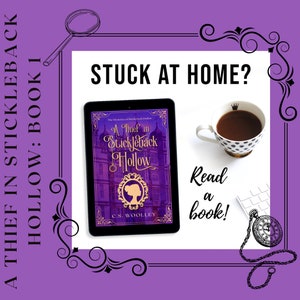Unsigned A Thief in Stickleback Hollow Paperback & Hardback - Book 1 The Mysteries of Stickleback Hollow