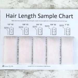 Dog Grooming Clip Comb Chart