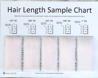 Dog Grooming Clip Comb Chart