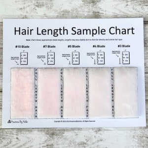 Dog Grooming Shave Chart