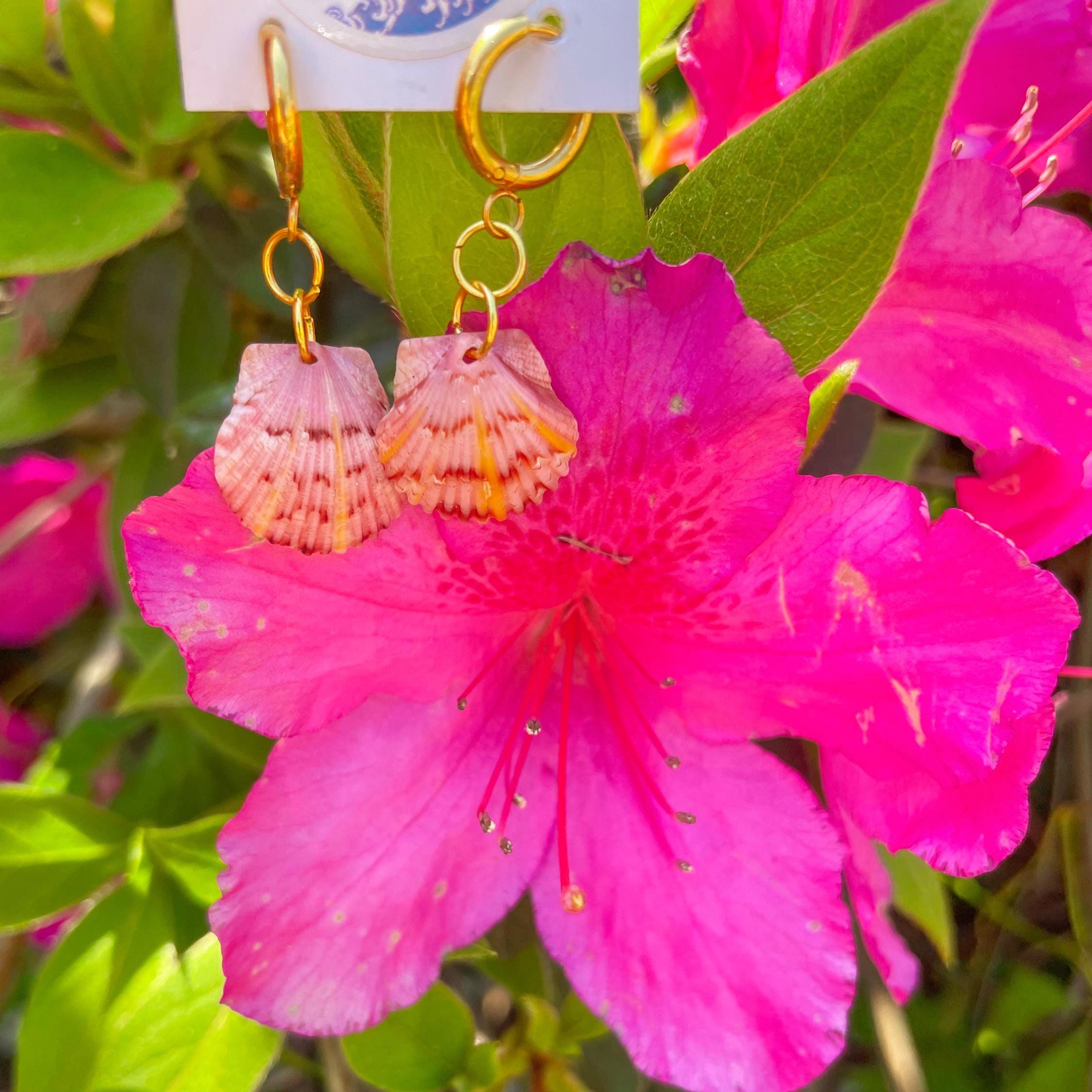Calico Scallop Seashell Earrings, Sanibel Seashell Art, Seashell Earrings, Florida Beach Jewelry, Gold Plated