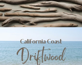 Coastal Driftwood Bundles