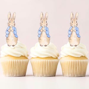 Peter Rabbit druckbare Kuchendeckel Drucken Sie selbst Digitaler Download Partydekoration 3 Größen