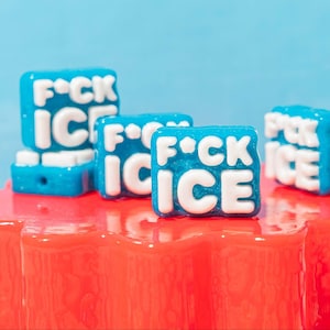 Pingentes de glitter "F*ck ICE" para pulseiras Kandi, de plástico, pacotes de 5 a 20 unidades.