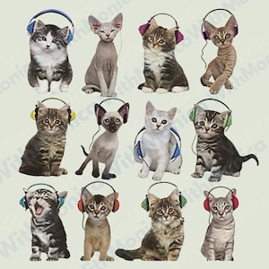 Cat With Headphones PNG – Grunge Y2K emo-style graphic with vintage streetwear flair for music-loving misfits