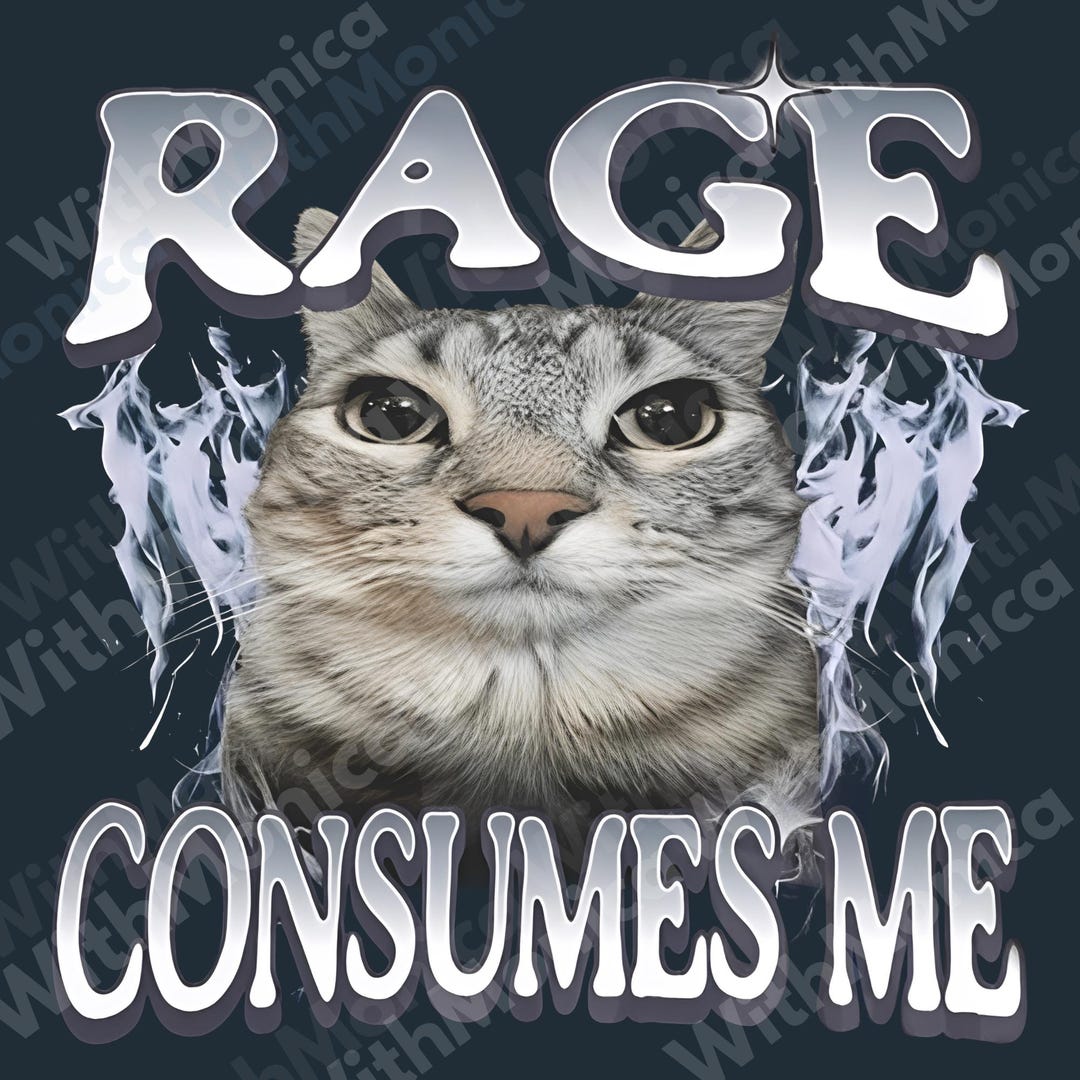 Cat Raging Mem Rage Consumes Me Cat PNG, Angry Unhinged Feline Meme Design With ...