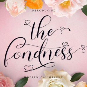 The Fondness Font, Calligraphy Font, Retro Font, Game Font, Handwritten Font, Game Font, Font Bundle, Font Designs, Digital Download