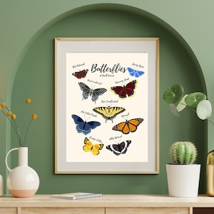 Butterflies of North America Art Print with Names, Fun Children&#39;s Room Educational Art, Digital Download Print Poster
