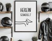 Poster Hereingedackelt | Poster Eingang | weiss