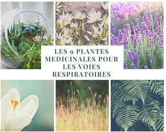 May include: A collage of nine different plants, with the text "LES 9 PLANTES MEDICINALES POUR LES VOIES RESPIRATOIRES" in the center.