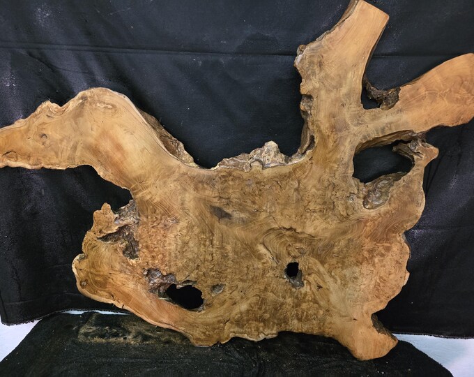 Live Edge Teak Burl Wood Slab - Etsy