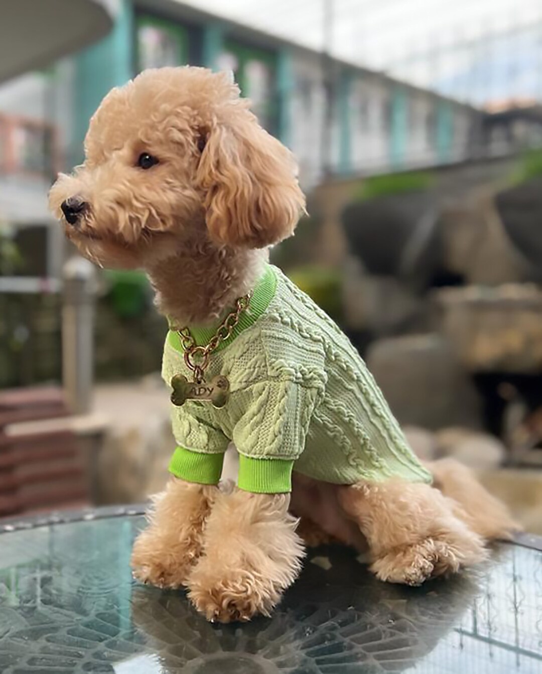Dog Jumper , Green Jumper for Dogs , Elastic ,wool Jumper for Pets - Etsy