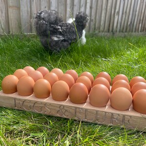 May include: A wooden egg holder with the text "Eggs & Fluff" engraved on the front. The holder is filled with brown eggs and is sitting on green grass. A black and white chicken is in the background.