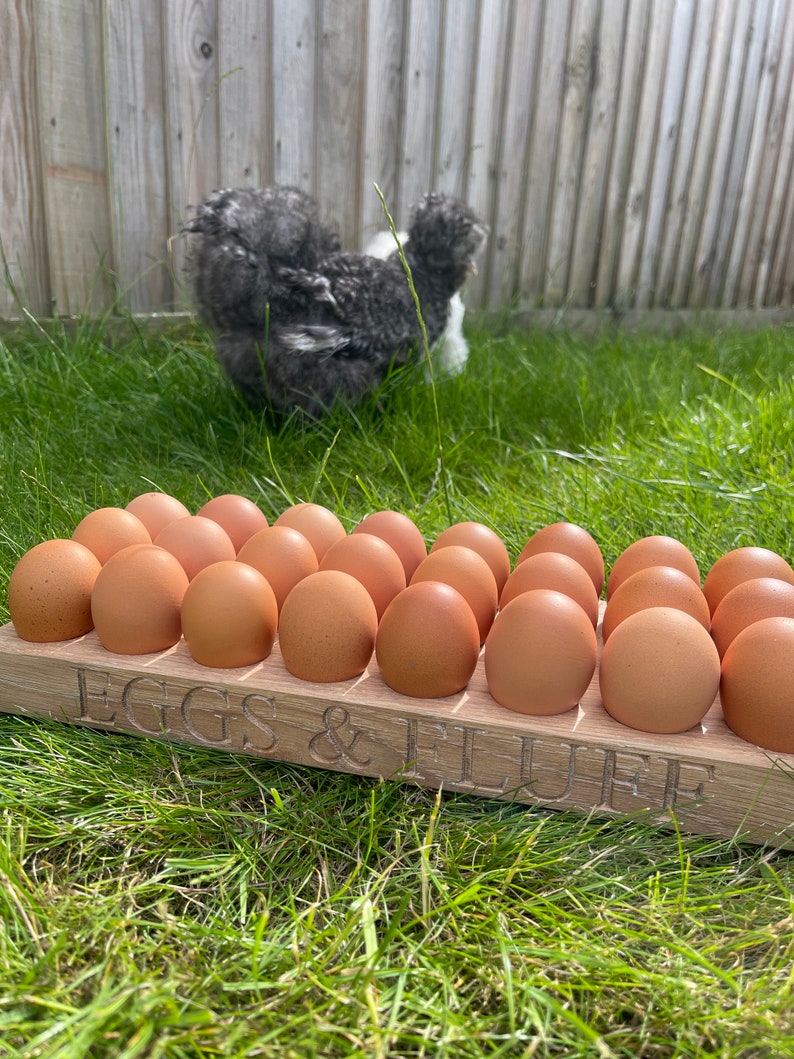 May include: A wooden egg holder with the text "Eggs & Fluff" engraved on the front. The holder is filled with brown eggs and is sitting on green grass. A black and white chicken is in the background.
