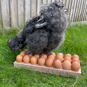 May include: A fluffy gray chicken standing on a wooden egg holder with the text "Eggs & Fluff" carved into the wood. The holder is filled with brown eggs.