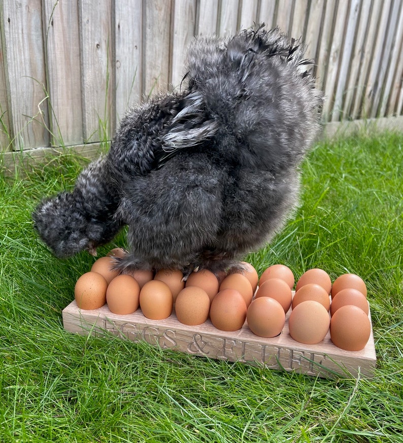 May include: A fluffy gray chicken standing on a wooden egg holder with the text "Eggs & Fluff" carved into the wood. The holder is filled with brown eggs.