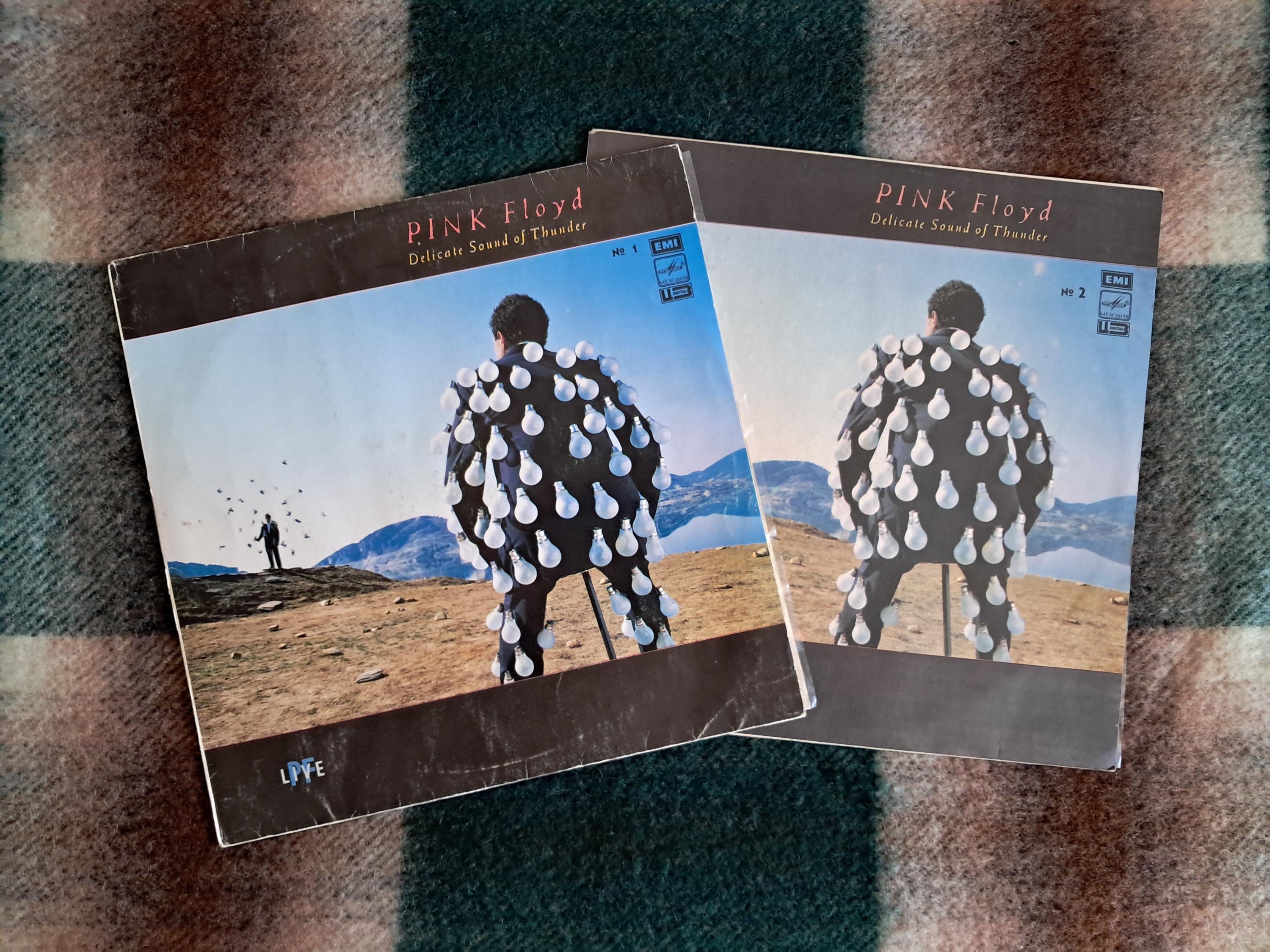 Vintage Pink Floyd Delicate Sound of Thunder 2LP - Live Concert - Etsy