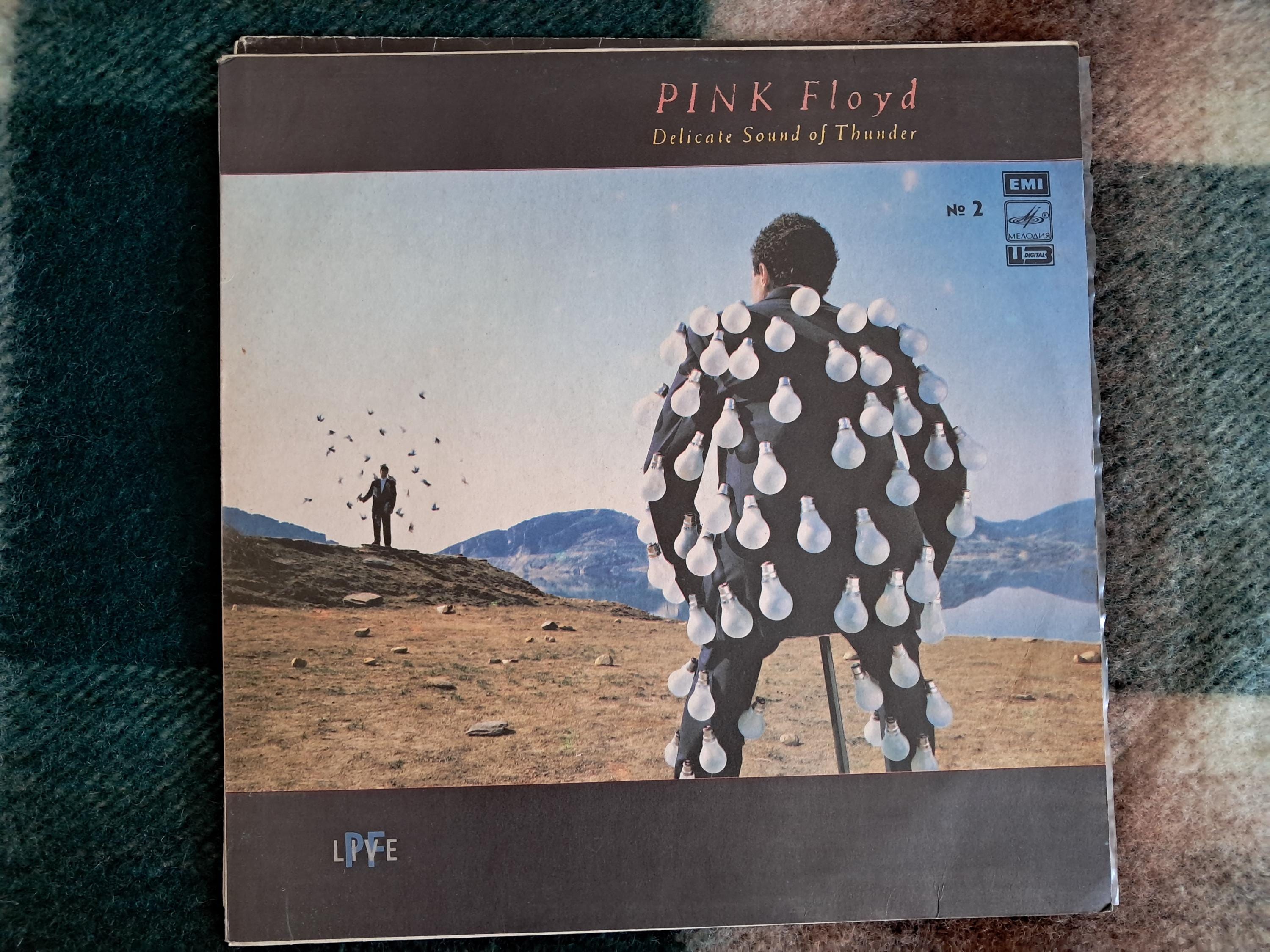 Vintage Pink Floyd Delicate Sound of Thunder 2LP - Live Concert - Etsy