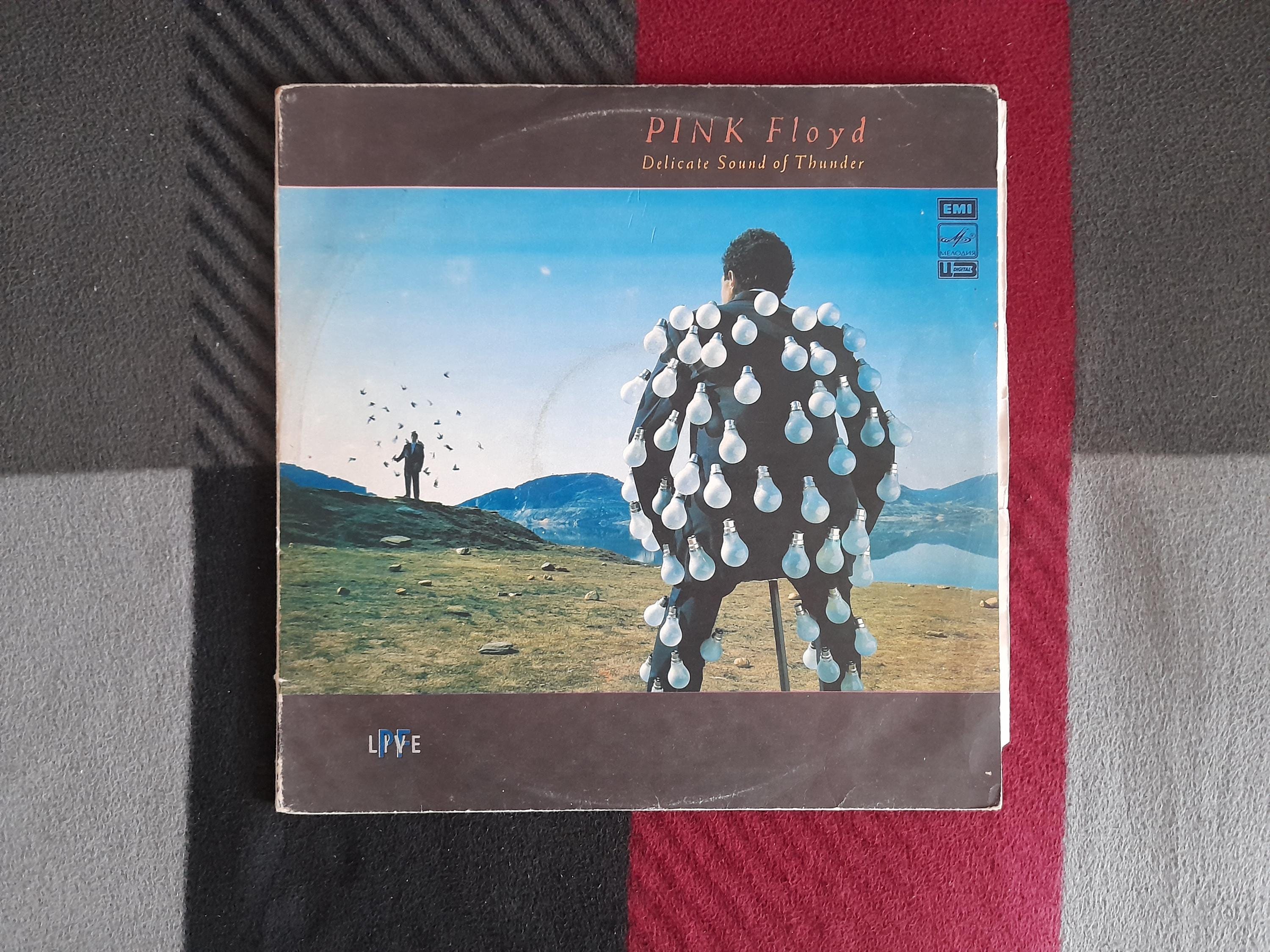 Vintage Pink Floyd Delicate Sound of Thunder 2LP - Live Concert - Etsy