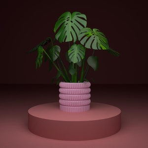 May include: A vibrant Monstera plant with large, green, split leaves in a pink, ribbed planter. The planter is on a matching pink, circular pedestal against a dark maroon background. The plant adds a pop of colour to any space.