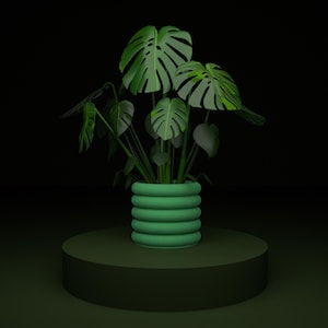 May include: A green Monstera plant in a matching green, ribbed planter. The plant is displayed on a dark green, circular pedestal against a black background. The large, split-leaf foliage contrasts with the solid, geometric shapes.