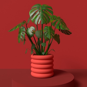 May include: A green Monstera plant with large, split leaves in a coral-coloured, ribbed planter. The plant sits on a matching coral-coloured pedestal against a solid red background. The image is a studio shot.