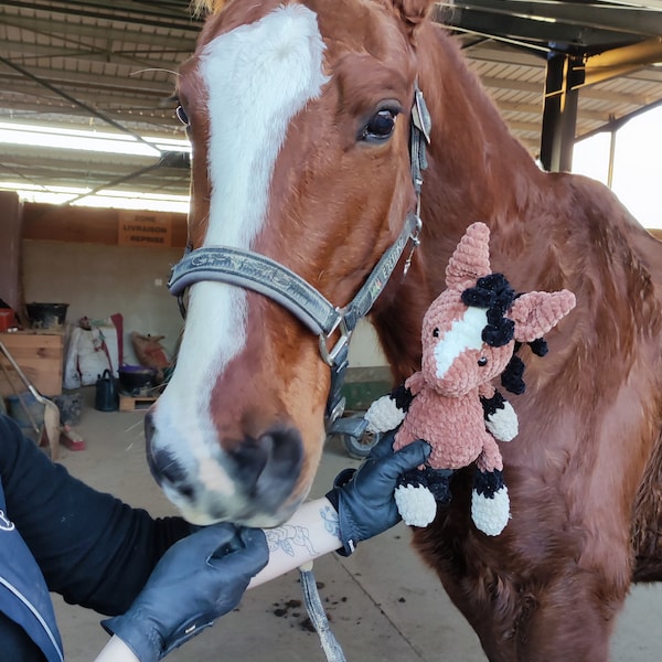 Cheval en crochet Personalisé