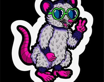 90’s Opossum