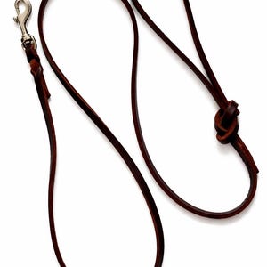 May include: A dark brown leather dog lead featuring a silver-toned metal swivel snap hook at one end and a fixed loop handle secured with a simple overhand knot. The lead is constructed from a single, continuous strip of smooth, flat leather.
