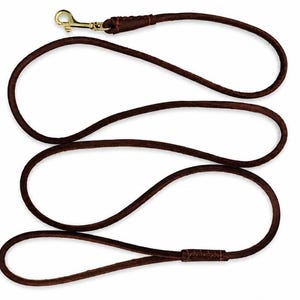 Può includere: Un guinzaglio in pelle marrone scuro con un design a corda arrotondata e estremità cucite rinforzate. Il guinzaglio include un moschettone girevole in metallo color oro lucido a un'estremità e un'impugnatura ad anello all'altra.